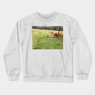 Scottish Highland Cattle Cows and Cat 2087 Crewneck Sweatshirt